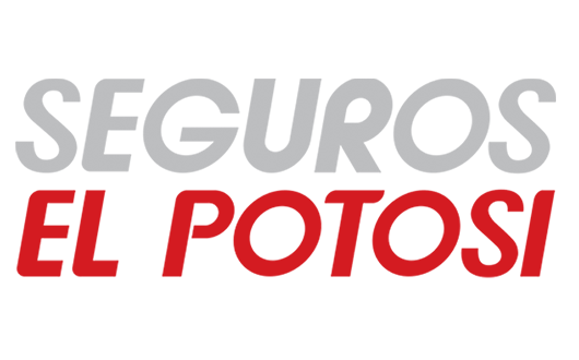 Seguros el potosí